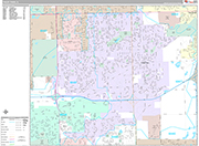 Tinley Park  Wall Map Premium Style